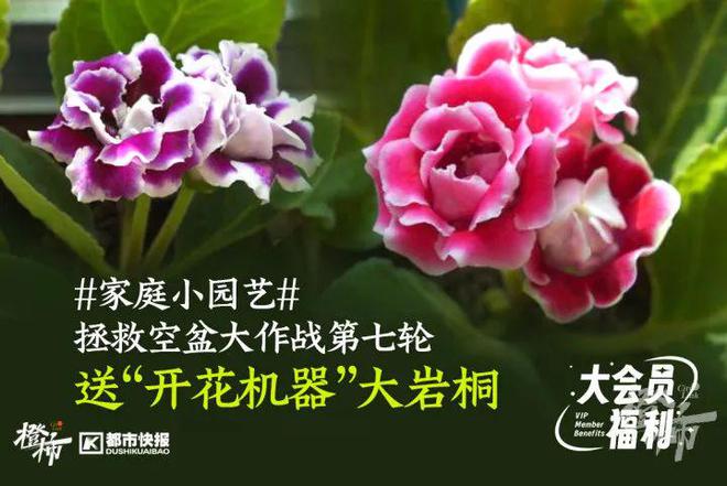 要几分钟？橙柿请你挑战自我米乐m6登录入口爬60层楼(图4)